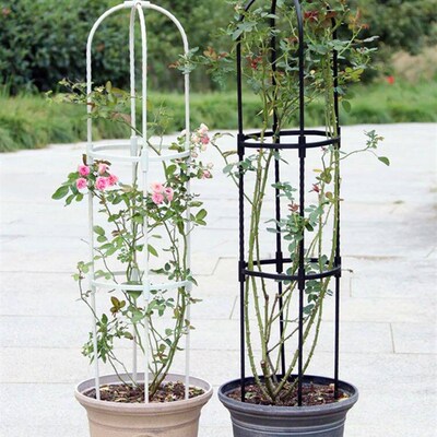Plant Climbing Frame Outdoor Flower Stand Metal Climb Plant