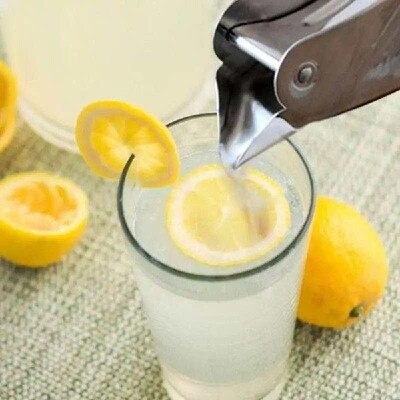 Lemon Squeezer Portable Lemon Juice Extractor Stainless