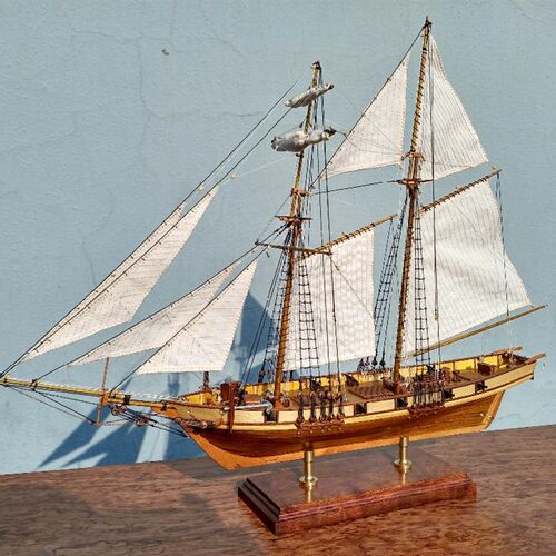 Scale 1/96 Classics Antique Ship Model Building Kits HARVEY