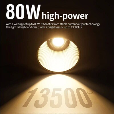 Dual Color Temperature COB Photography Light 80W Professiona