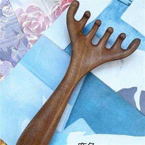 Head Meridian Massage Comb Head Face Scalp Gua Sha Scraping