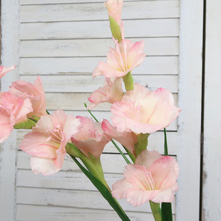 剑兰手感胶花仿真假花欧式餐桌绢花落地插花摆件婚庆造景装饰花艺