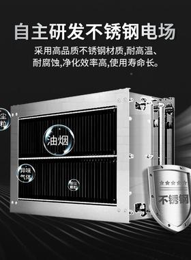 无管道油烟化一油体机饭店一烟净化排风体机厨房油净烟净化器OFY