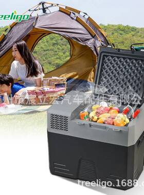 T1reeligo汽车冰箱4252/62升压缩机/车载2冰箱2v24v20v旅74280行