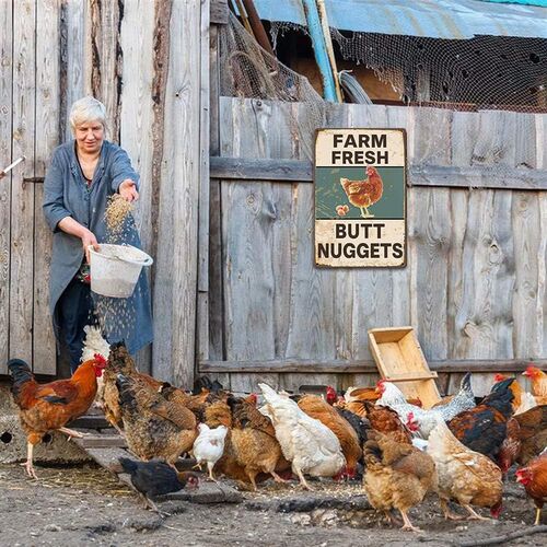 Vintage Metal Signs Chicken Coop Signs for Farm Yard Decor