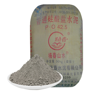 水泥硅酸盐po大学实验山水防水补漏洞快干硬早强袋装九七