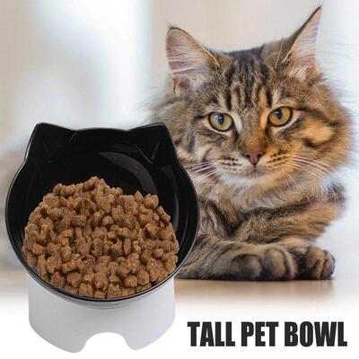 Non-Slip Cat Bowl Pet Water Food Feeder Dog Elevated Bowls P