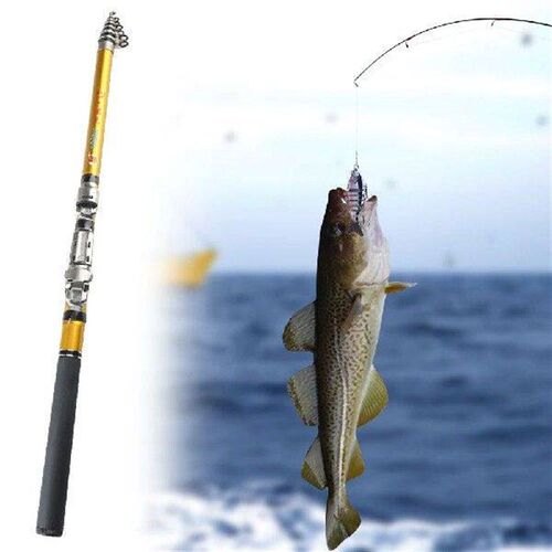 Telescopic Mini Fishing Rod for Outdoor Travel Pesca Pole