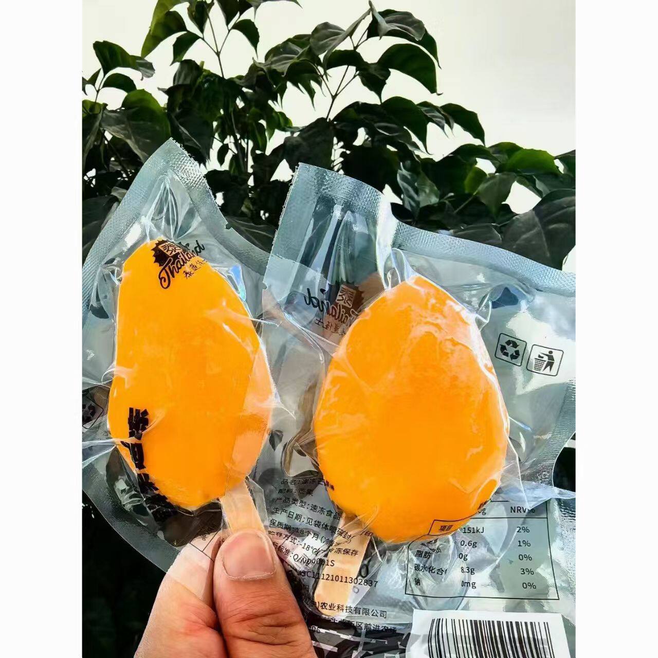 树上熟台农芒果冰棒整支芒果雪糕纯芒果无添加顺丰包邮