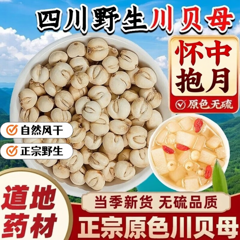 川贝母正宗特级四川阿坝州无硫新货正宗特级大颗粒咳煲汤泡水