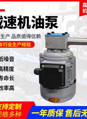 工厂减速机油泵ZCBZ转子式泵 立式摆线减速机油泵ZCB1.2油泵