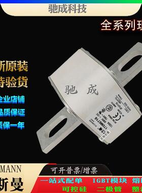 巴斯曼170M6717 170M6718 170M6719 厂家直供价优 快速保险丝