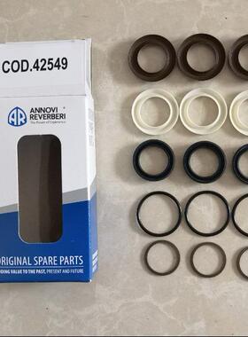 CODE 42549 RR15.25N 15.20N/C 18.16 N/C 意大利AR水泵水封组件