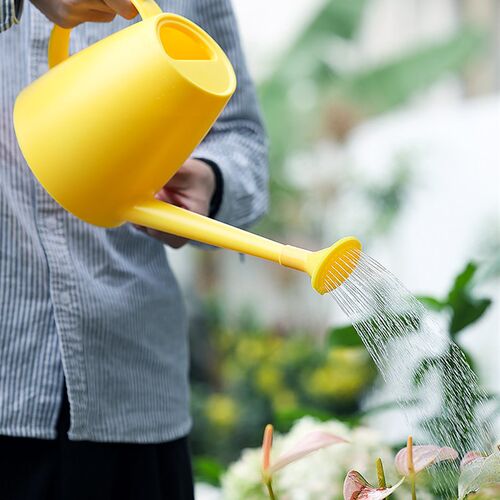 plant watering can small sprayer lovely family creative