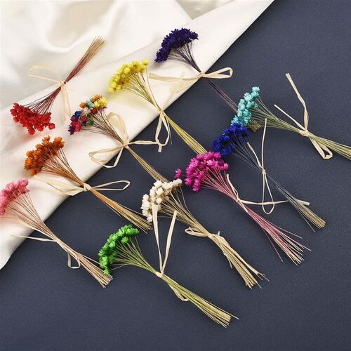 Mini Dried Star Flowers For Epoxy Resin DIY Art Craft Candle