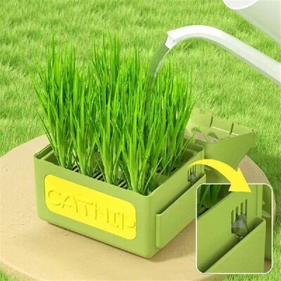 Cat Grass Planter Tray Grass Sprouting Trays Cat Grass Tray