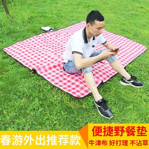 Outdoor Spring Outing Picnic Mat Thickened Camping Park Gras