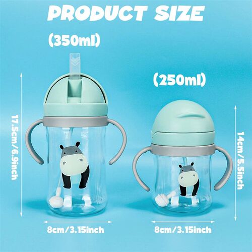 Kids Water Bottle 250ml/350ml with Straw & Anti Leak Silicon
