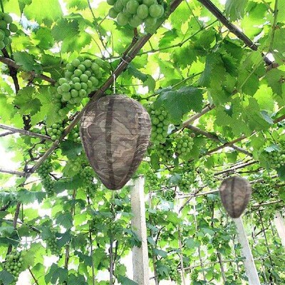 Hornet Fake Wasp Nest Paper Repellent Hornets Safe Fake