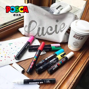 Japan Posca Paint Markers 3M Fine Marker Set of Acrylic