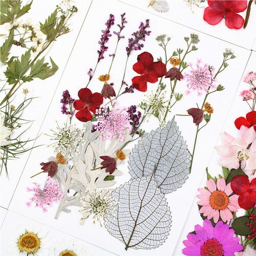 Dried Flower Embossed Combination Package Real Flower Emboss