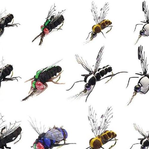 Trout Fly Assortment Trout Lure Kit Of 12 Hand Tied