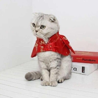 Chinese Style Coat Joyous Cloak Winter Thicken New Joyous