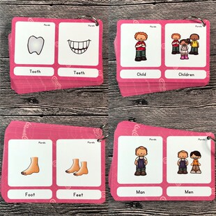 70 Groups Noun Plural Change Rules Early Learning Education