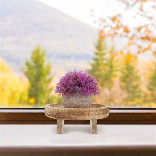 Plant Flower Pot Stand Pots for Plants Display Rack Wooden