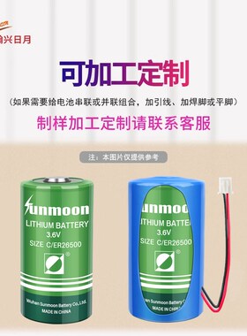 日月3.V锂亚电池ER20H物联网燃气表流量计智能仪表2号C型电池
