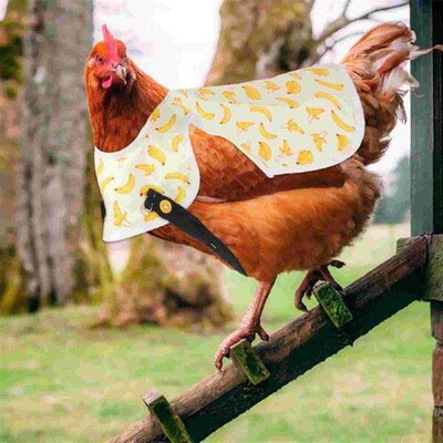 Chicken Saddle Apron Hen Poultry Double Layer Claw