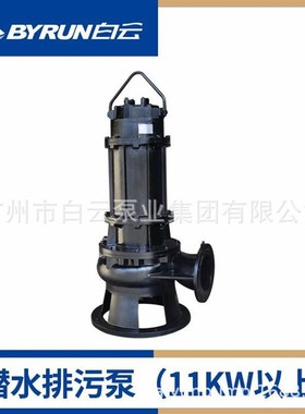 BWQ潜水排污泵(11KW以上) 水泵