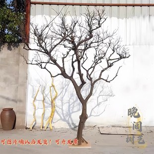 干树枝造景干枝树干许愿树枯树装饰树原木树枝婚庆酒店造型树白树