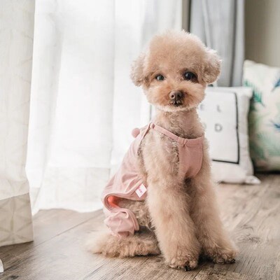 Summer Dog Clothes Jumpsuit Cute Pets Rompers Overalls Pants