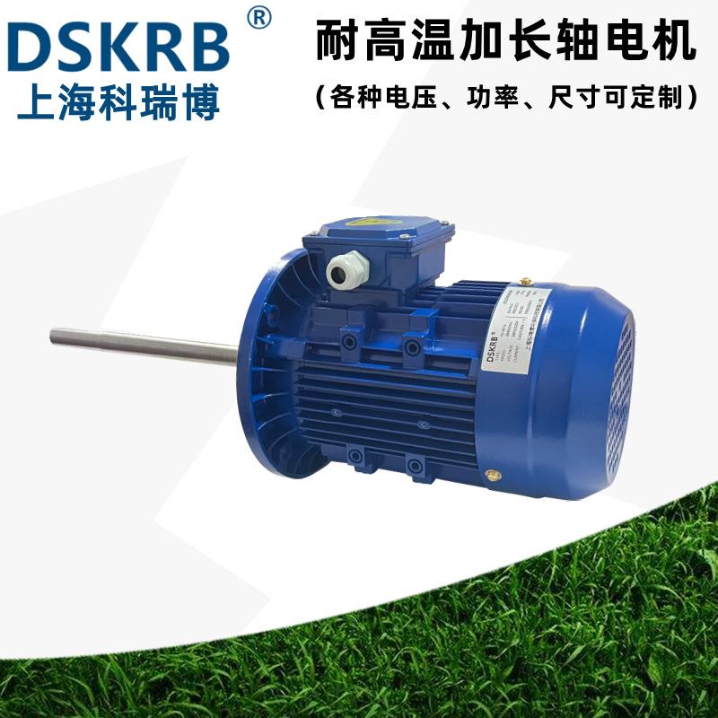 非标加工热循环加长轴电机 烤箱烤炉搅拌回流耐高温长轴马达厂家