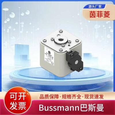 巴斯曼170M6596 170M6597 170M6598 170M6599 170M6500 170M6501