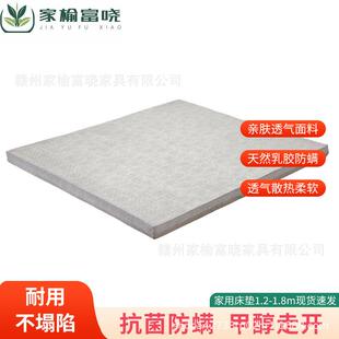 乳胶床垫10公分8公分带内外套1米8家用乳胶5公分1米5儿童床垫