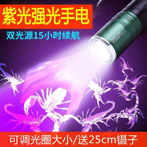照蝎子灯强光超亮可充电大功率调焦四核灯珠养蝎子豆手提虫灯电筒