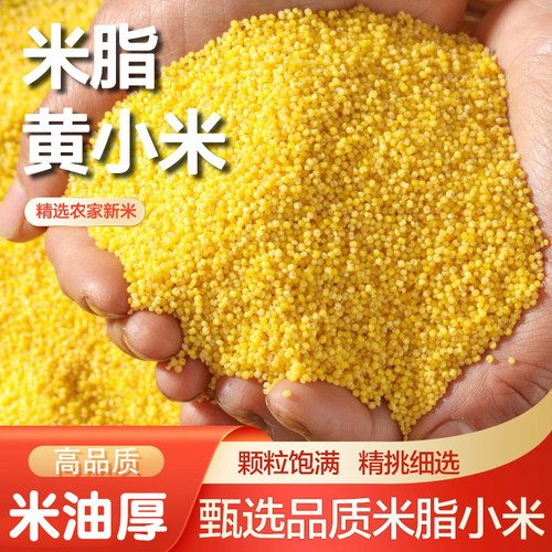 陕西农家当季黄小米颗粒饱满黄小米煮粥五谷杂粮小米早餐小米粥
