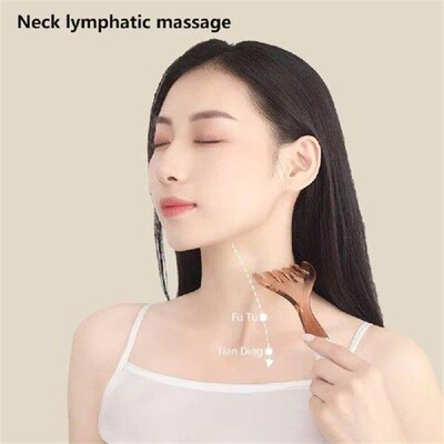 Six-Claw Head Meridian Massage Comb Wide Tooth Handheld