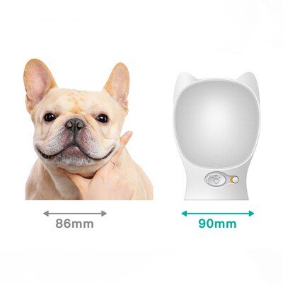 480 ML Portable Pet Water Bottle For Dogs French Bulldog Pug