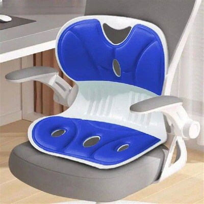 Desk Chair ture Corrector Offices Chair Lumbar Support