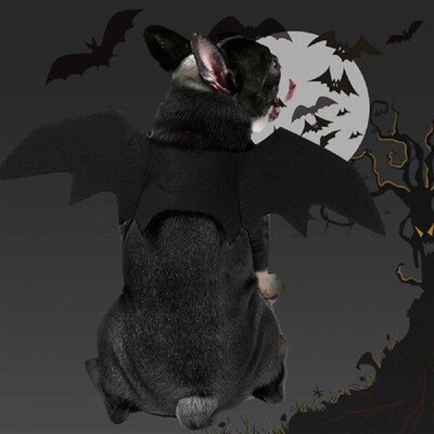 Pet Dog Cat Bat Wing Photo Props Black Cosplay Prop Pet