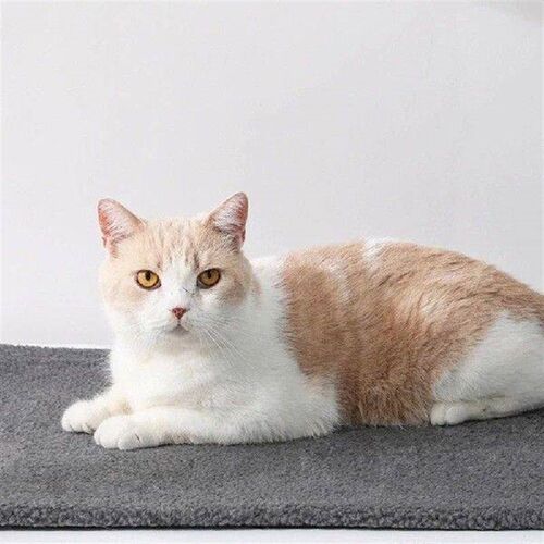Dog House Heating Bed Mat for Small Dogs Cats Easy to Clean