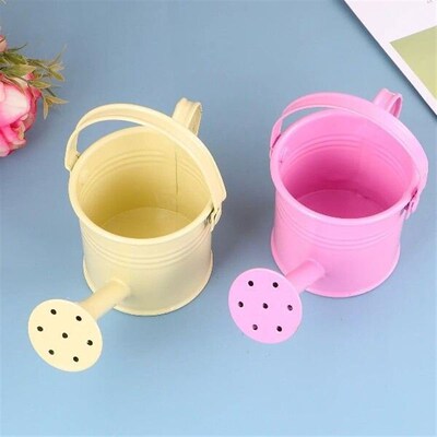 2 Pcs Children Watering Pot Small Can for Plants Pail