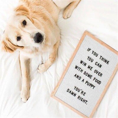 1 set Durable Felt Letter Board Wooden Frame Changeable