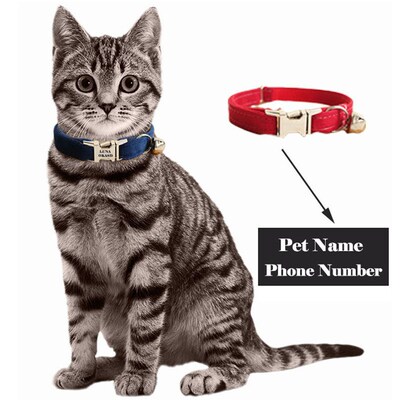 Personalized Cat Collar with Bell Engraving ID Tag Nameplate