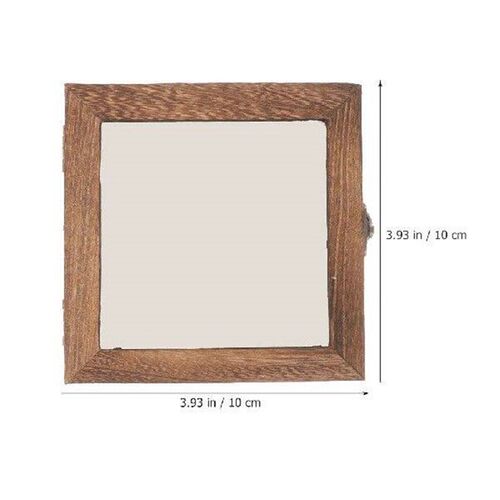 Specimen Frame Case Vintage Display Dried Flower Storage