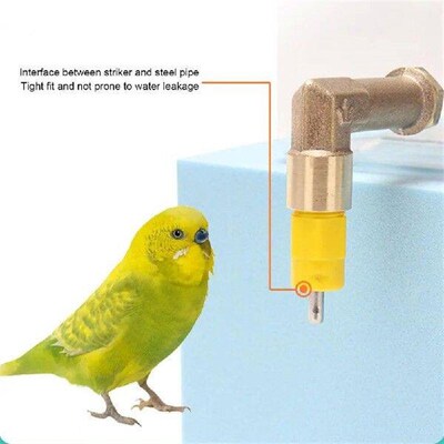 520ML Bird Water Plastic Bird Water Drinker Feeder Waterer