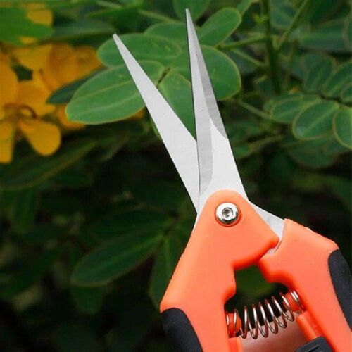 Gardening Scissors Flower Leaf Trimmer 6.5 Inch Bonsai
